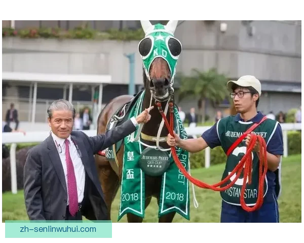 贝伦蝎子以8比0大胜阿瑟里 展现压倒性实力全场精彩瞬间回顾