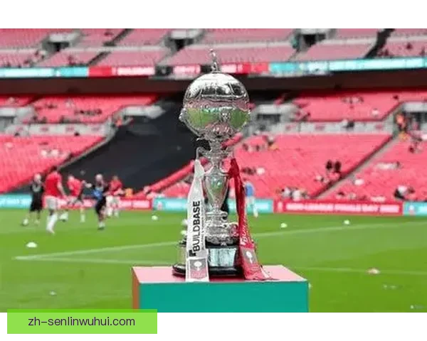 诺尔比一球小胜布莱格展现关键战术与球队韧性解析